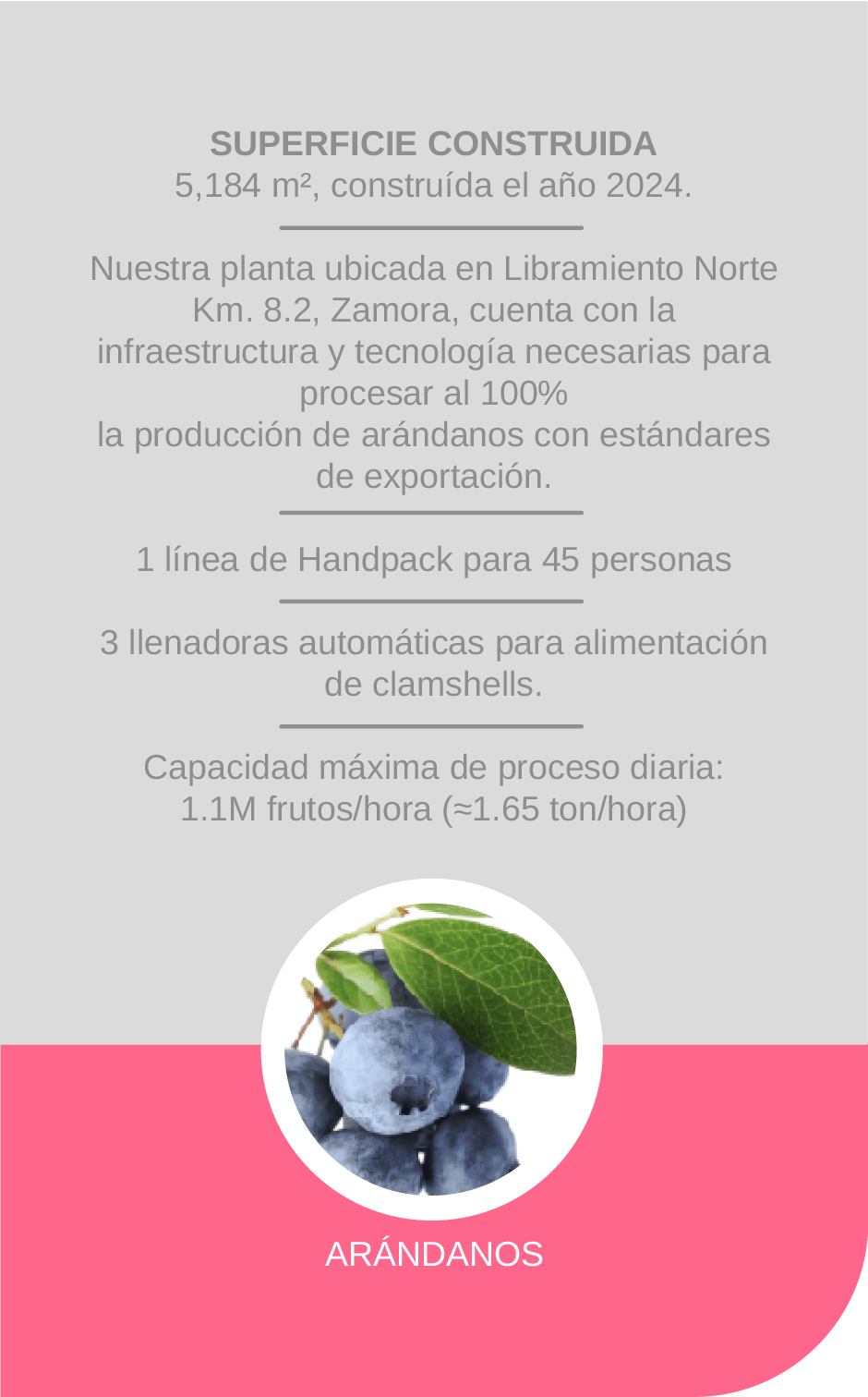 Imagen Modal