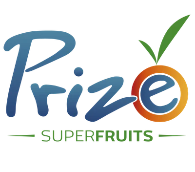 Logo Prize